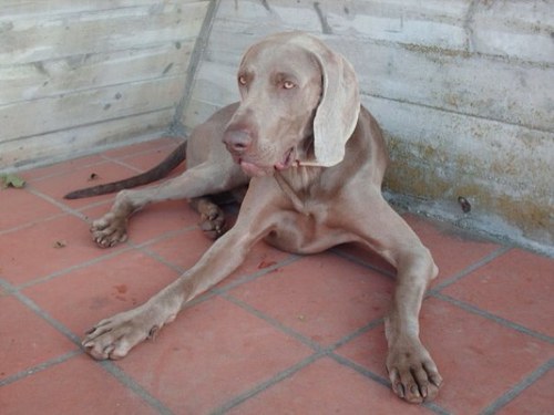 Facco84's profile picture. 