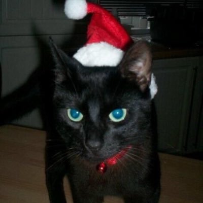 jazzygal14's profile picture. random shit