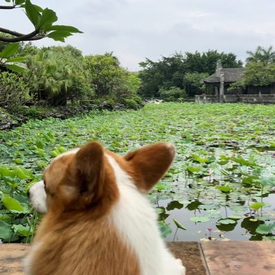 BryanYanDONG's profile picture. Entrepreneur, Explorer, Outdoor and Fitness Amateur