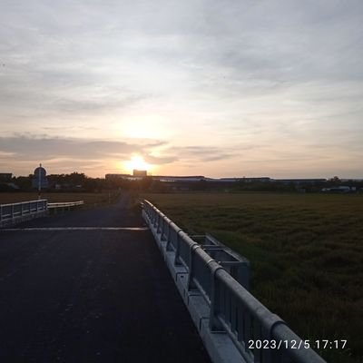 lamhao3311's profile picture. liutanan