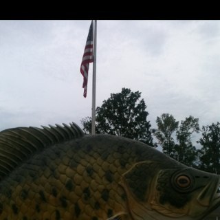 WeissLakecrappi's profile picture. 