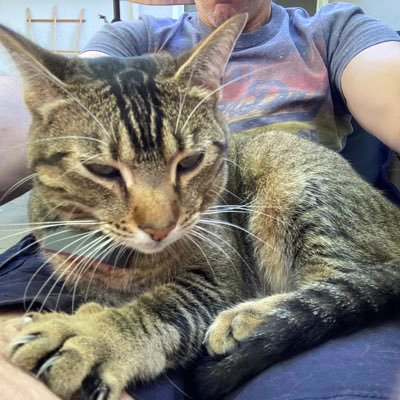 thetrickster68's profile picture. 