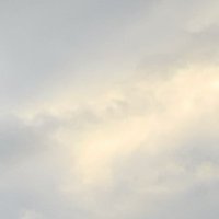 ささかま (@sakushiba_94) Twitter profile photo