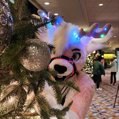 Amateur fursuit maker and Mechanical Engin”deer”. Manufacturing Engineer for 🛰️🚀🛡️. ~~~~~~~~~~~❤️@Beerus6572❤️