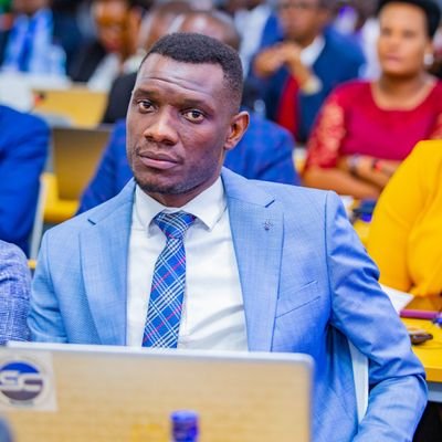 - Consultant,
-Enseignant- Formateur à l'Ecole Nationale d'Administration( ENA), Burundi,
- Directeur de satraco consulting and solutions,