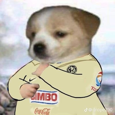 @koomarw