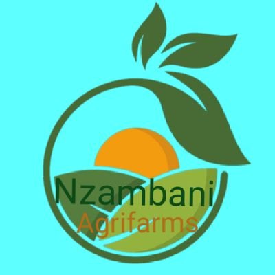 Medical Consultant,Agripreneur,Ceo Nzambani Agrifarm