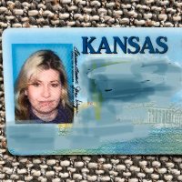 Kathy in Kansas(@bobkatrevor) 's Twitter Profile Photo