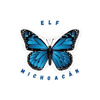 💙Amor y apoyo incondicional a Super Junior, OT15.
Somos las mariposas azules. 🦋🦋🦋
Fanbase mexicana🇲🇽