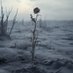 overwintered (@0xoverwintered) Twitter profile photo overwintered (@0xoverwintered) Twitter profile photo