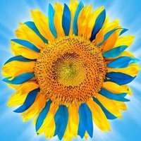 Freya Keddie π (@keddieff) 's Twitter Profile