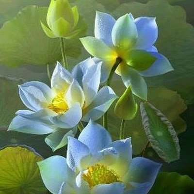 SwamiVedra61892's profile picture. 