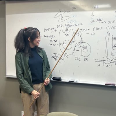 xinyue_710's profile picture. Ph.D. Student at Yale | Studying microbes🧪🔬🧬.