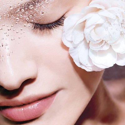 azearea's profile picture. 🌸お花🌸何より愛します。🌏🫶家族✨唯一無二✨宝者。🤍生命とは、♡生きている…🤝とは、🌸幸せ🌸があるためには、💕慈愛🌸すべてが、そうで在る為に💎