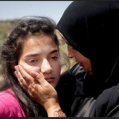 SafaBouchagour's profile picture. 