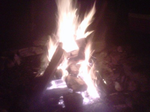 BZeiger's profile picture. yes