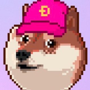 wtfimazing's profile picture. $WTFD