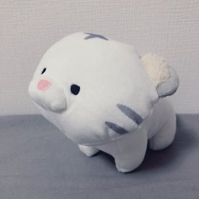 hiyo_piyo_6's profile picture. もちもち🐹きょもち