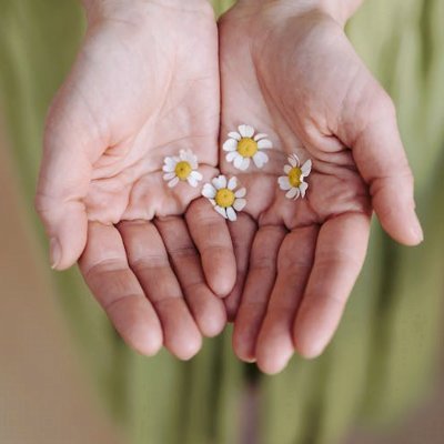 KristineMo50135's profile picture. 