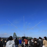 ぽんた (@n_wag_p) 's Twitter Profile
