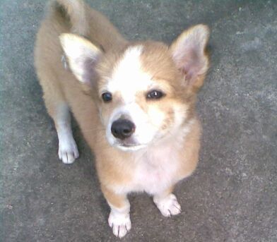 ekalagayan's profile picture. 