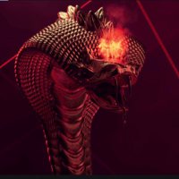 Oppenheimer (@oppenheimersol) 's Twitter Profile