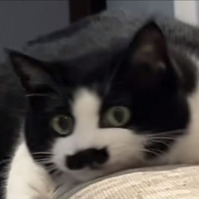 抹茶さんのプロフィール画像