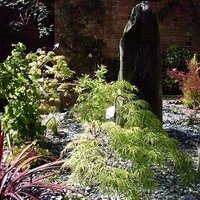 duncan ross(@gardendesigncom) 's Twitter Profile Photo