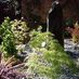 duncan ross (@gardendesigncom) Twitter profile photo duncan ross (@gardendesigncom) Twitter profile photo