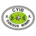 Curious Minds Ghana (@cmghana) Twitter profile photo