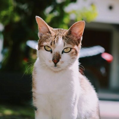 JoyRegina341907's profile picture. 