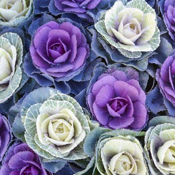 OK8958870574050's profile picture. 無言フォロー失礼します。在外教育施設派遣のためのアカウントです🙇R6派遣になりました!！
いろいろな人とつながりたいです！