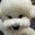 Sen ๐ฅ (@ohvivisen) Twitter profile photo Sen ๐ฅ (@ohvivisen) Twitter profile photo