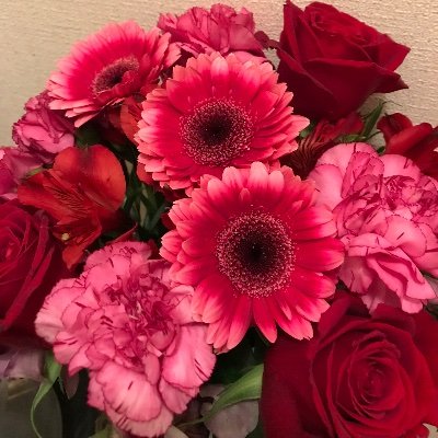 2rnC9Ma8jS76738's profile picture. R5年度に在外教育施設派遣を受験しました。在外のこと、海外での暮らしのこと、思ったことをつらつらと呟いています。
民間経験9年／教員12年目／R6.某国の在外教育施設派遣！