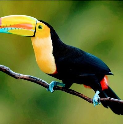 aikawa0511's profile picture. パパ活始めました。お茶お食事を中心にやってます。
株式低額投資利益出た時のみアポ取りします。月に1～2回楽しく遊びたい❗