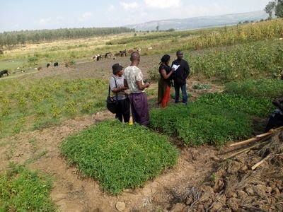 Female youth agriprenuer professional Agriculturalist, and gender activist.
Ready to serve a  farmer for better tomorrow with financial knowledge