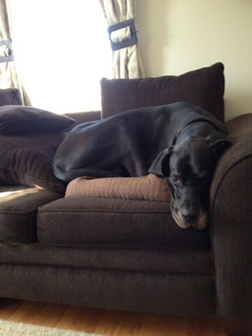 patrickcory's profile picture. 