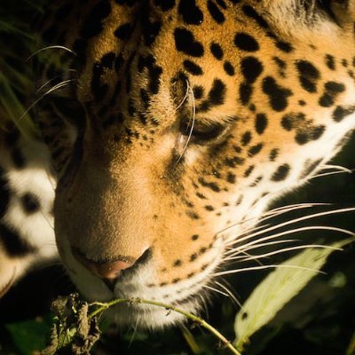 KayGeorge478103's profile picture. 