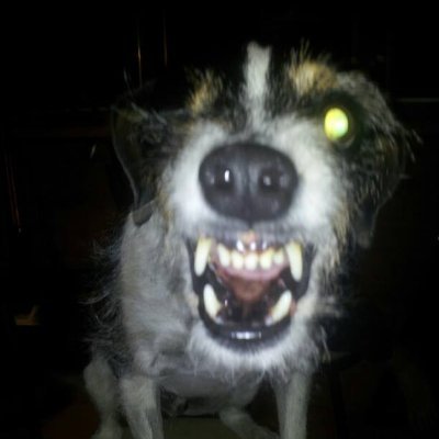 RandyRo43364239's profile picture. Forex, Futures, fishing, video games and your mom.