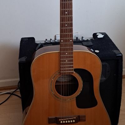 DannyCo81057762's profile picture. 