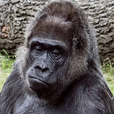 ホンダさんのプロフィール画像