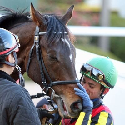 我々は1勝9敗でもいい、その1勝が万馬券ならば・・・!
血統×展開×適性
あらゆる角度から競馬予想に役立つ情報を提供します。|最高配当3000倍|ローズS◎マスクトディーヴァ7番人気🥇
福島記念◎ダンディズム12番人気🥈
京都2歳S◎プレリュードシチー10番人気🥈|
モットーは「楽しんで勝つ!」