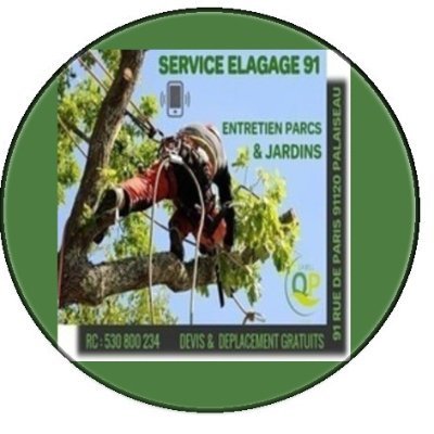 #Artisan #élagueur : spécialisé dans l '#élagage et l ' #abattage : entretien parc et jardin