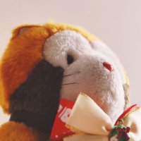 トナ子🦌🦝🌽 (@tonakotona) 's Twitter Profile Photo トナ子🦌🦝🌽 (@tonakotona) 's Twitter Profile Photo