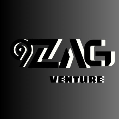 9Zag_Ventures Profile Picture