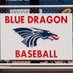 Hutchinson Blue Dragon Baseball (@BlueDragonBSB) Twitter profile photo