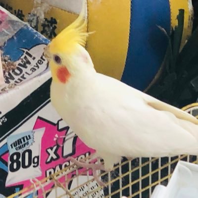 XMLC7737's profile picture. 