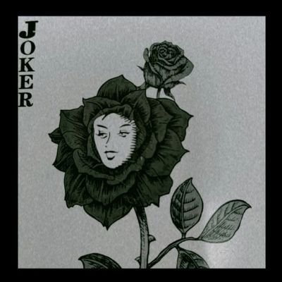 SystemUsers's profile picture. Hi.