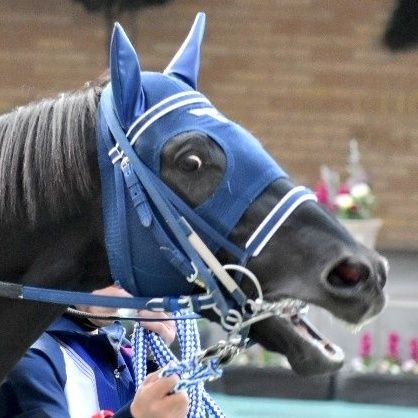 まさ(みんなみんな その先へ)さんのプロフィール画像