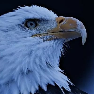 777salammm's profile picture. العراق🇮🇶.